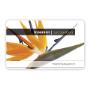 Maike Bloemen & Wonen