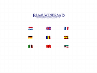 Blaauwendraad Management Consultants Bv