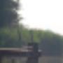Bearshoeke Camping De
