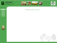 Beltman Lettele Bv