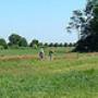 Kommer Mini-Camping Paardenpension De