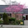 Pedicuresalon Hulst Thea (Medisch Pedicure)