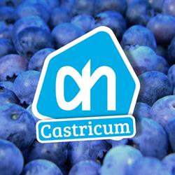 Albert Heijn Castricum
