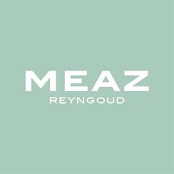 Reyngoud Mode