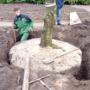 Bomen zetten