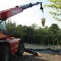 Pluimvee en Agriservice W Lokhorst