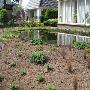 Pluimvee en Agriservice W Lokhorst