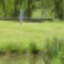 Stichting Golfbaan Kralingen