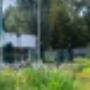 Stichting Golfbaan Kralingen
