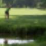 Stichting Golfbaan Kralingen