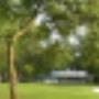 Stichting Golfbaan Kralingen