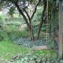 Doorkijk tuin met schommel