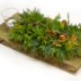 Alco Tuincentrum