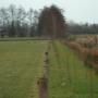 Hoveniersbedrijf Tunnes Rozema