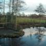 Hoveniersbedrijf Tunnes Rozema