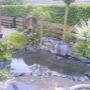 Hoveniersbedrijf Tunnes Rozema