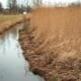 Hoveniersbedrijf Tunnes Rozema