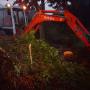 rooien van planten