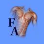 Fysiotherapie Amstelveen
