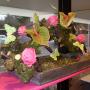Bloemsierkunst Debby