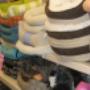 Dierenshop Sittard