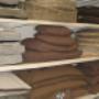 Dierenshop Sittard