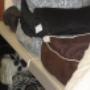 Dierenshop Sittard