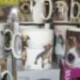 Dierenshop Sittard