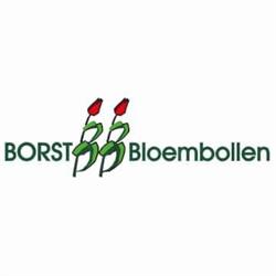 Borst Bloembollen Bv J a