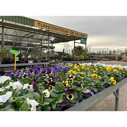 Tuincentrum Keizer