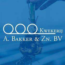 Bakker & Zn Bv Kwekerij