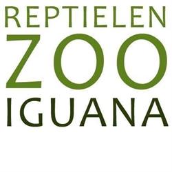Iguana Reptielenzoo