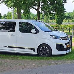 Visschers Neon Koos
