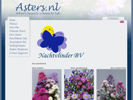 Astée Flowers Bv
