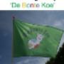 Kleurrijk in het groen