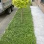 0nderhoudsvrije tuin