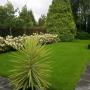 aanleg tuin Loe Mulders