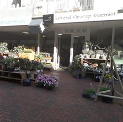 Alders Bloemencentrum