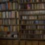 boeken kast van steigerdelen