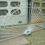 Conredo Constructie & Carrosseriebouw