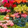 Dagverse bloemen
