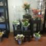 winkel