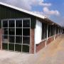 nieuwbouw ligboxenstal Wapse