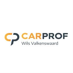 Autobedrijf Wils | CarProf | Skoda en Seat specialist | Garage voor alle merken