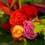 Een paar bloemen van elk