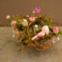 Pasen en lente in het roze