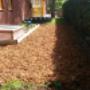 De tuin