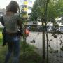 Onze fruitbomen: appels, peren en pruimen.