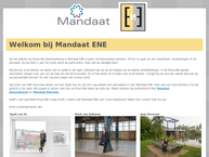 E.N.E Consultancy