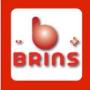 brins%20logo%20rood%20wit[2].j
